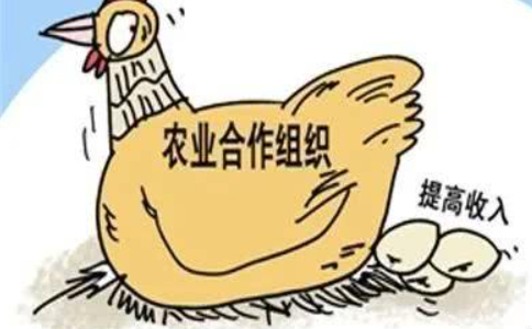 鄭州農(nóng)民專業(yè)合作社注冊流程(完整版)